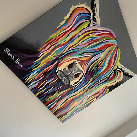 Custard Creams Knaresborough