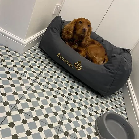 Custard Creams Knaresborough