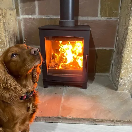 펜션 Custard Creams