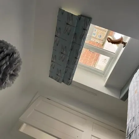 Custard Creams 펜션 내어스버러