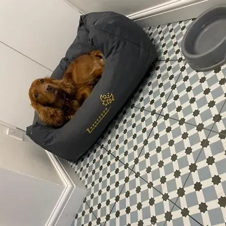 Custard Creams 펜션 내어스버러