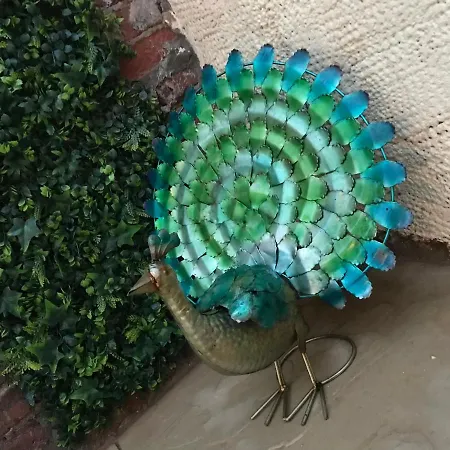 펜션 Custard Creams 내어스버러