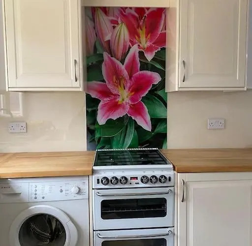 Custard Creams Tatil Evi