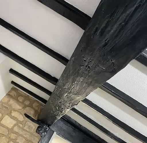 Tatil Evi Custard Creams Knaresborough