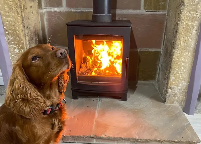 Tatil Evi Custard Creams