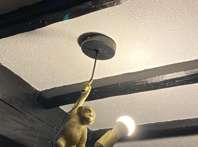 Custard Creams Tatil Evi Knaresborough