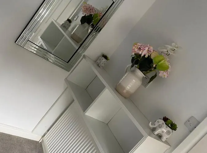 Custard Creams Tatil Evi Knaresborough