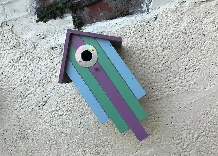 Custard Creams Tatil Evi *